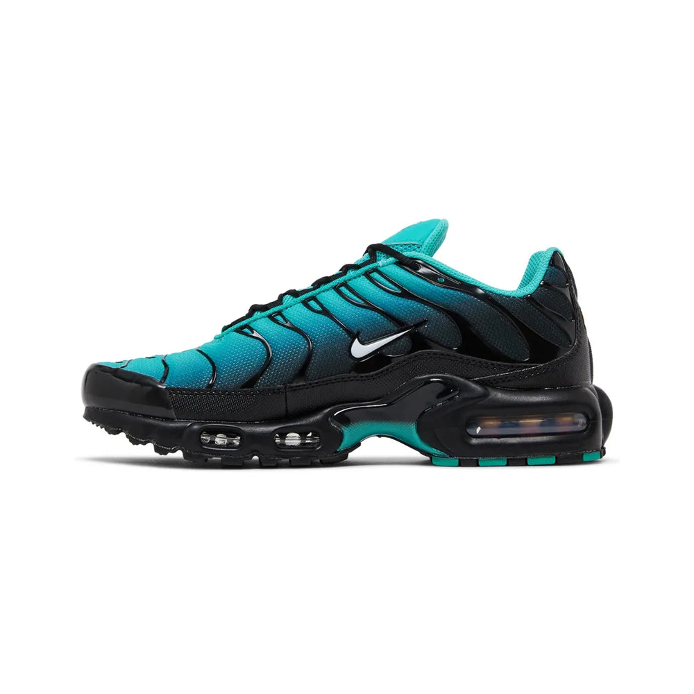nike_air_max_plus_tn_black_aqua_2023_3
