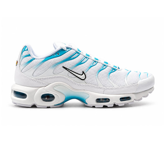 Air Max Plus 'Blue Fury'