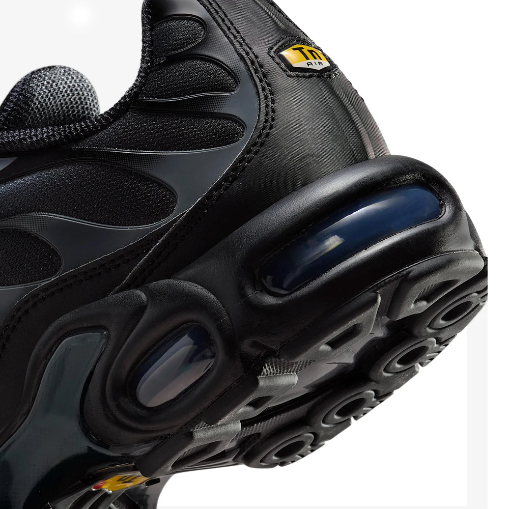 nike_air_max_plus_tn_black_metallic_silver_2025_8