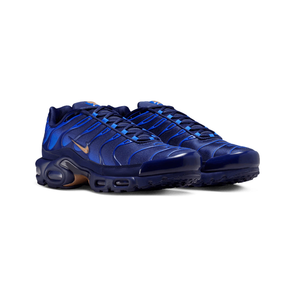 nike_air_max_plus_tn_french_football_federation_2026_2