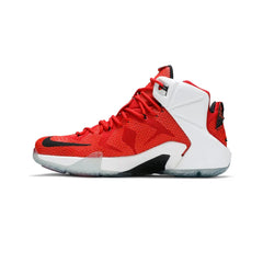 Nike-LeBron-12-Heart-of-a-Lion-2014-3