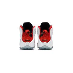 Nike-LeBron-12-Heart-of-a-Lion-2014-4