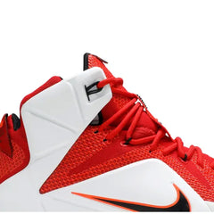 Nike-LeBron-12-Heart-of-a-Lion-2014-6