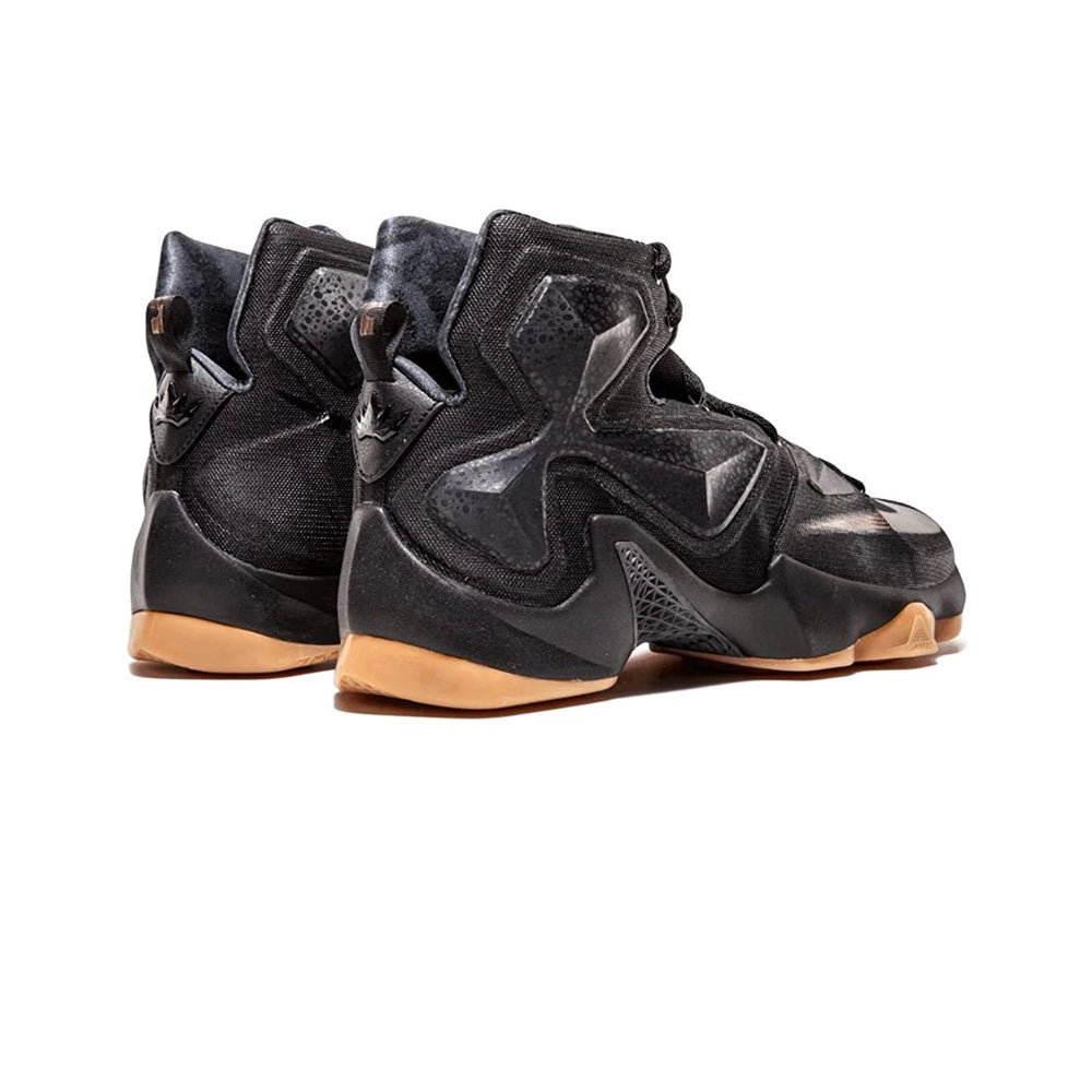 nike_lebron_13_black_lion_2016_6