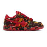 Nike-SB-Dunk-Low-‘The-Wizard-of-Oz-Poppy-Field’-TD-(2024)-1